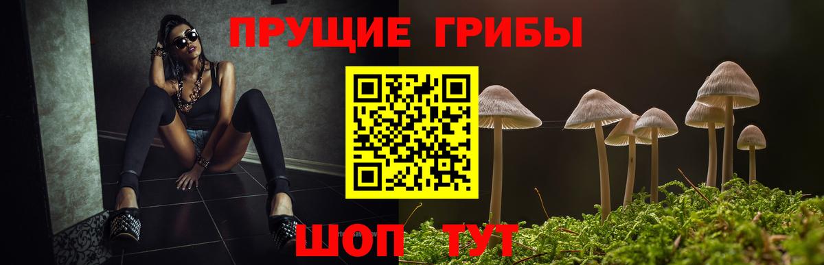 Псилоцибиновые грибы Cubensis  Вход с VPN  Озёры 